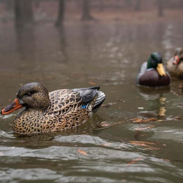 Extremely Realistic Floating Duck Decoys 6 Pack - Image 3
